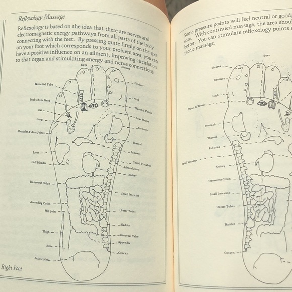Romantic Massage: Ten Unforgettable Massages for Special Occasions, Anne K. Rush - Picture 17 of 17